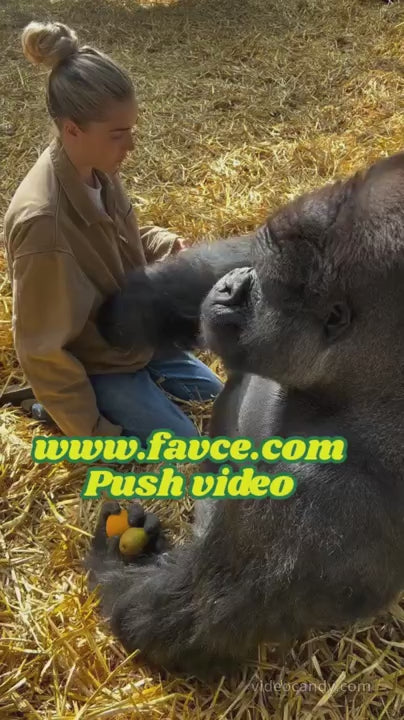 1.007 Push Video